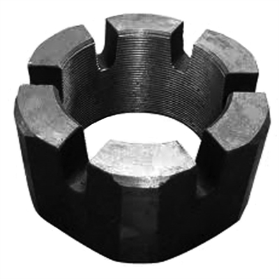 Resim TAÇLI SOMUNLAR